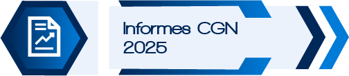 Informes 2025